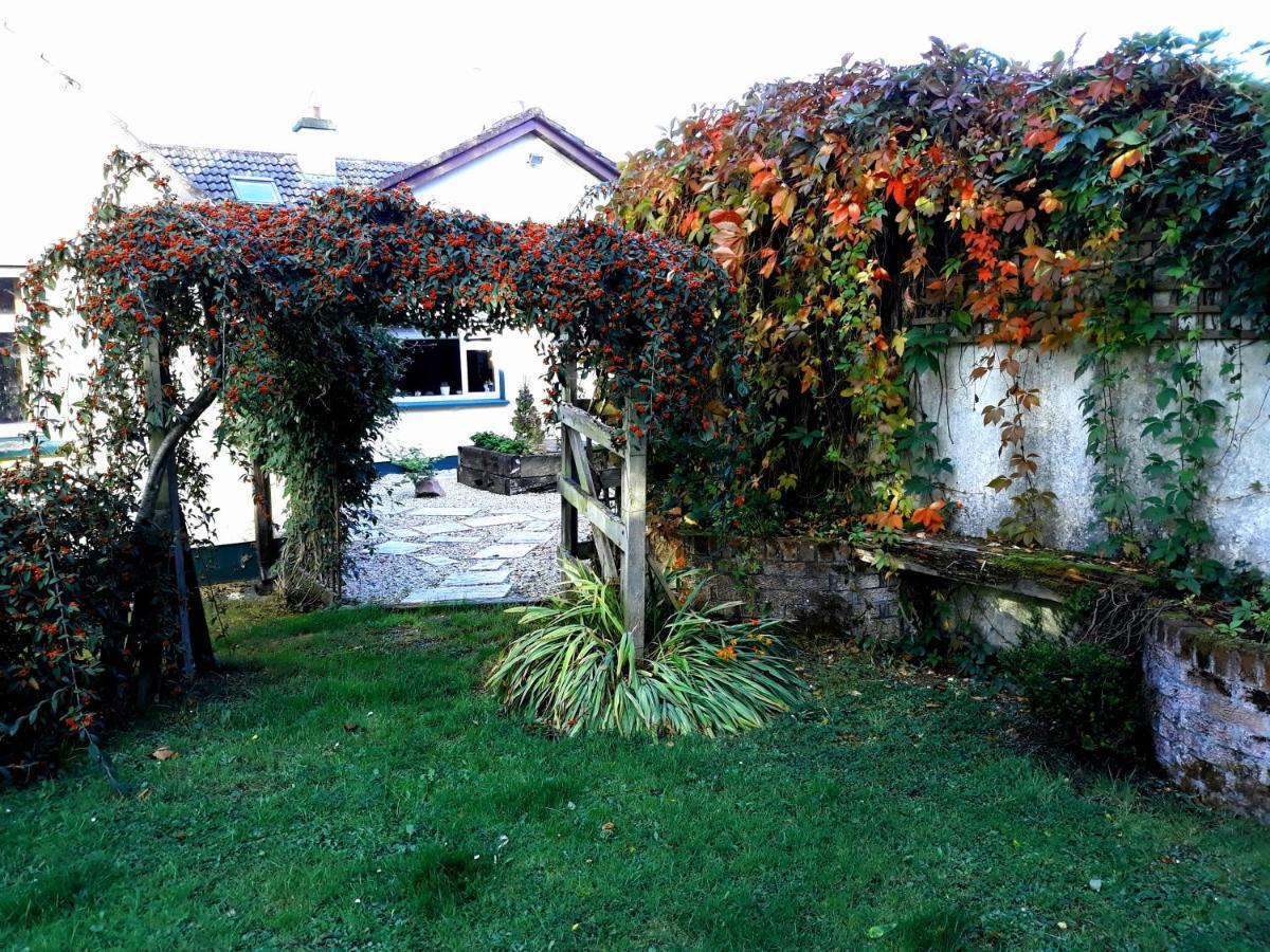 Country Home Tara Rathfeigh Exterior foto